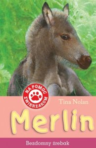 Merlin - bezdomny źrebak. Na pomoc zwierzakom