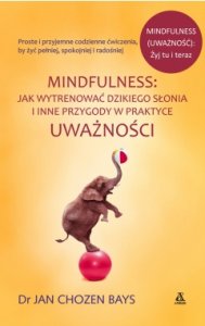Mindfulness: Jak wytrenować dzikiego słonia