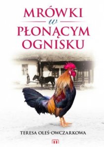 Mrówki w płonącym ognisku