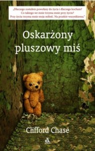 Oskarżony pluszowy Miś
