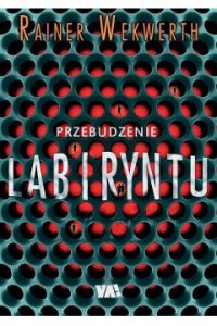 Przebudzenie labiryntu