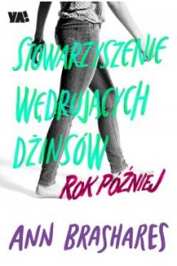 Stowarzyszenie Wędrujących Dżinsów. Tom 2. Rok później